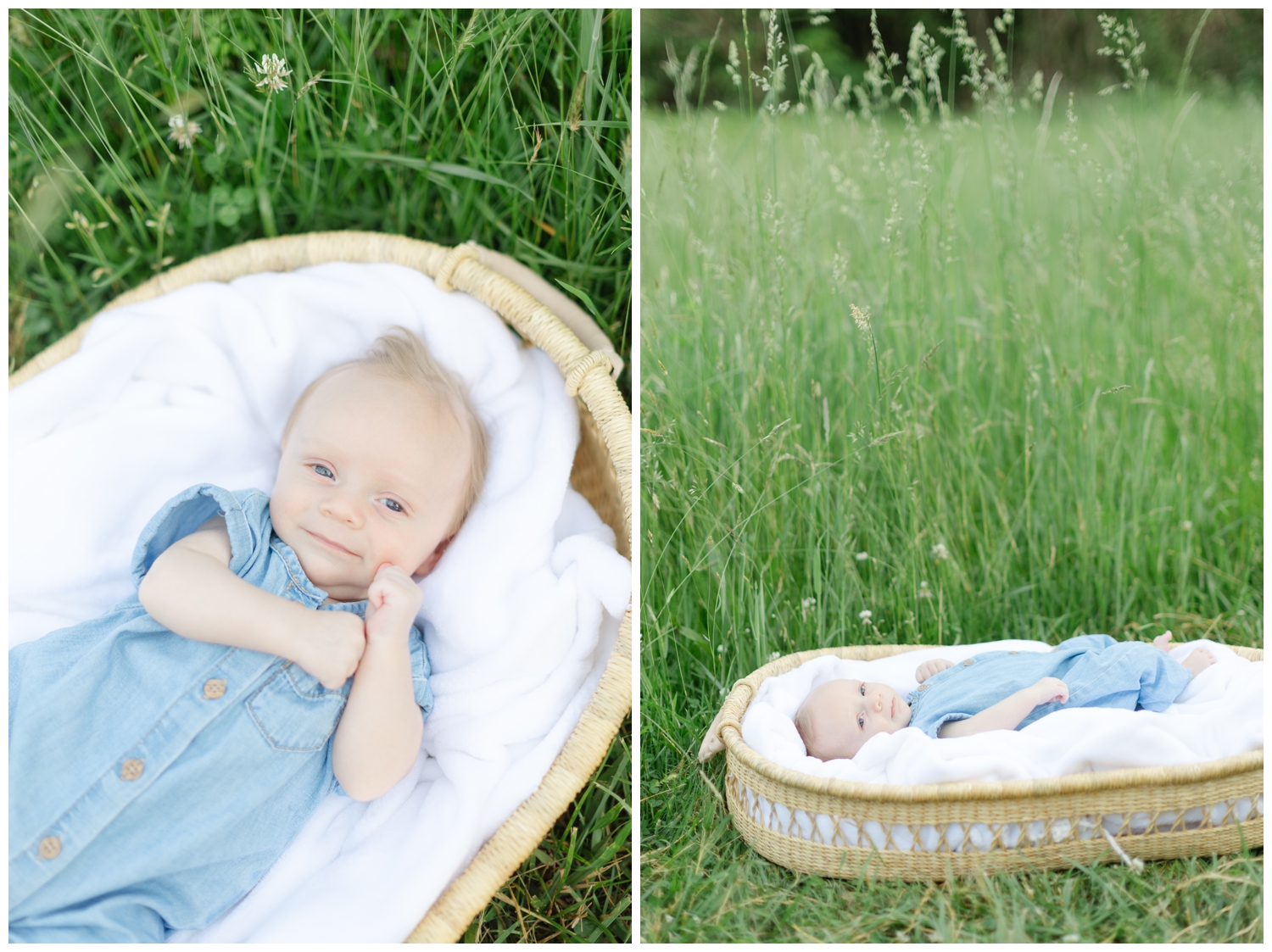 Newborn baby boy lays in basket in the grass at Cross Estate Gardens.