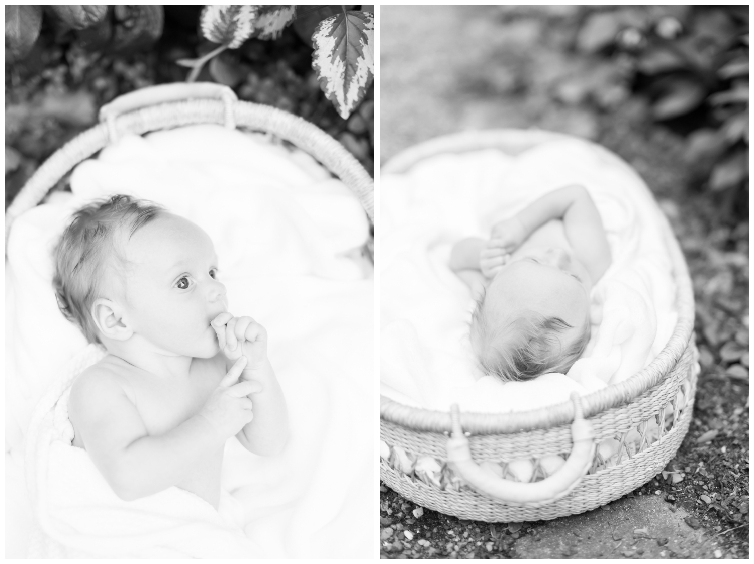 Newborn baby boy lays in a basket at Cross Estate Gardens.