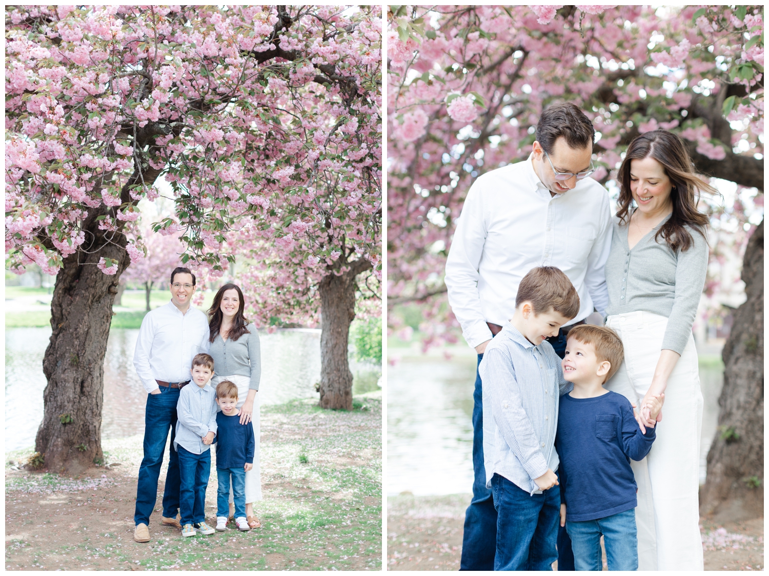 Mom, dad, and two sons in front of cherry blossoms at Taylor Park in Millburn, NJ.