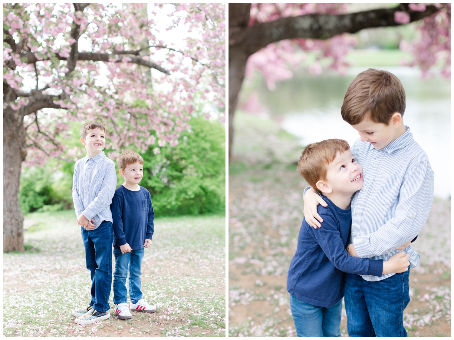 Two young boys in front of cherry blossoms at Taylor Park in Millburn, NJ.