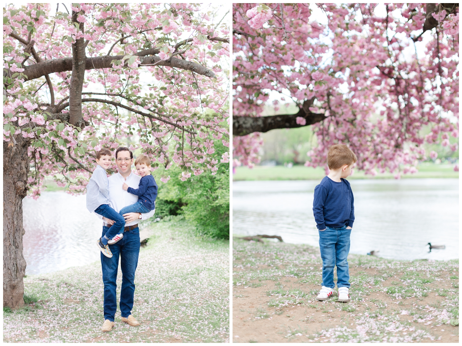millburn-nj-family-photography 0006 Dad and two sons in front of cherry blossoms at Taylor Park in Millburn, NJ.