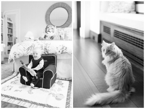 Young baby boy smiling with family cat in Summit NJ.